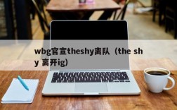 wbg官宣theshy离队（the shy 离开ig）