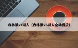 森林狼vs湖人（森林狼VS湖人全场回放）