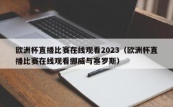 欧洲杯直播比赛在线观看2023（欧洲杯直播比赛在线观看挪威与塞罗斯）